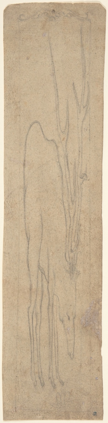 A sixteenth-century drawing of a stag stretched into an extremely tall, narrow sheet