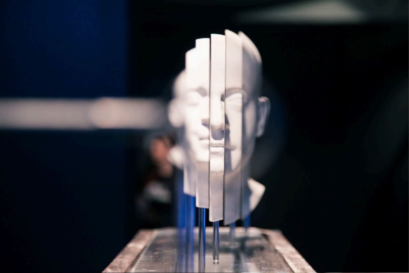 Perception and Reality — exhibition photograph 2