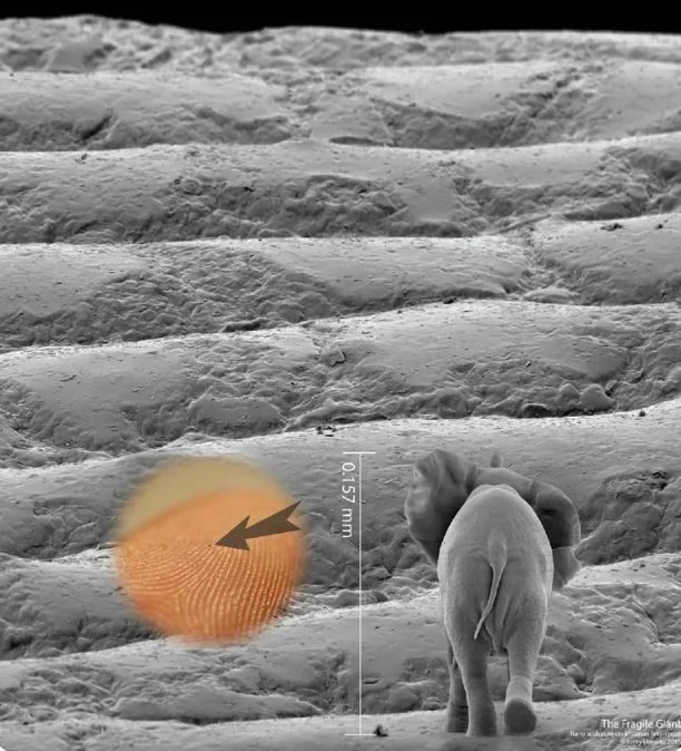 Nano Technology and Art — exhibition photograph 1