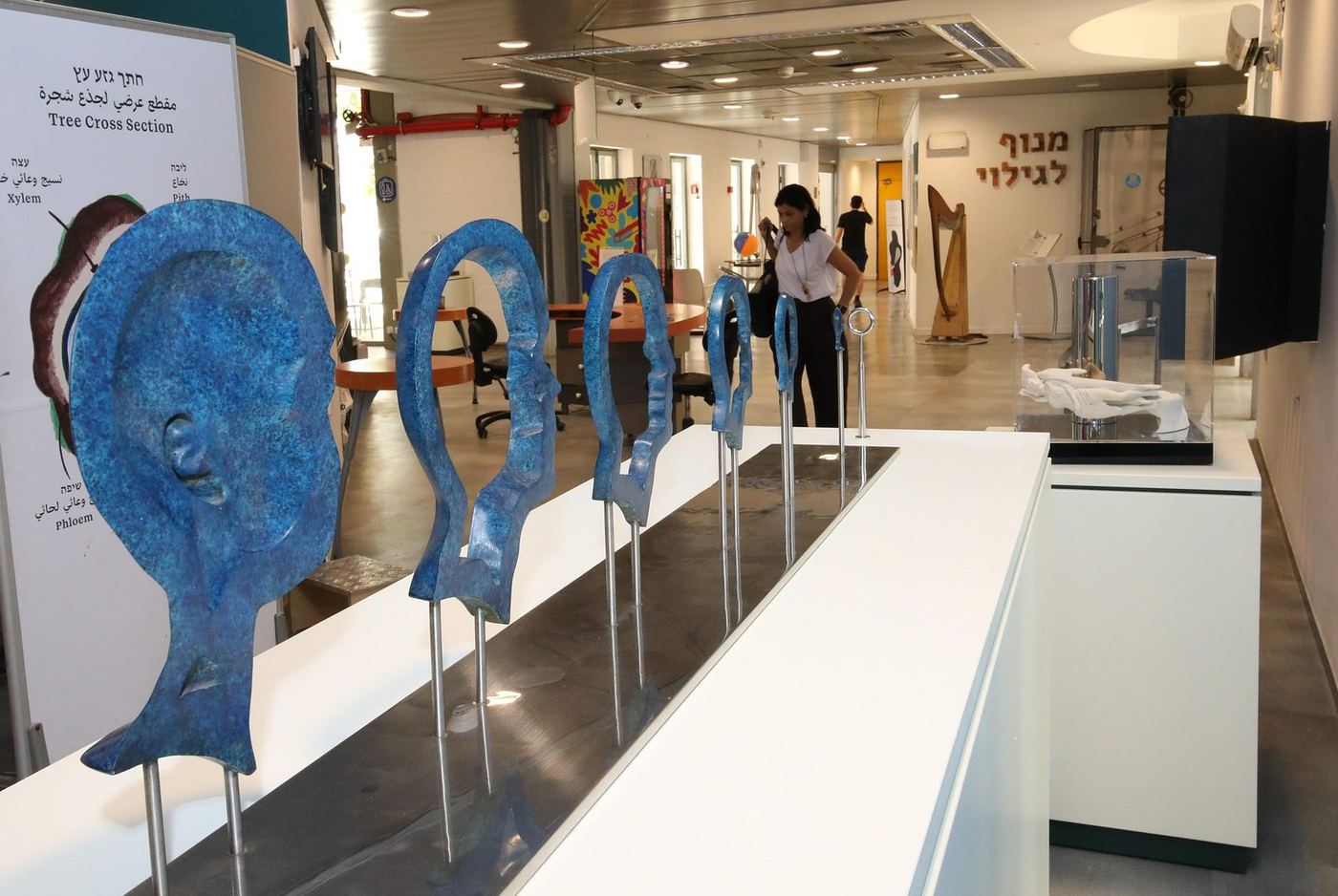 Visitors interacting with the exhibition — photograph 23