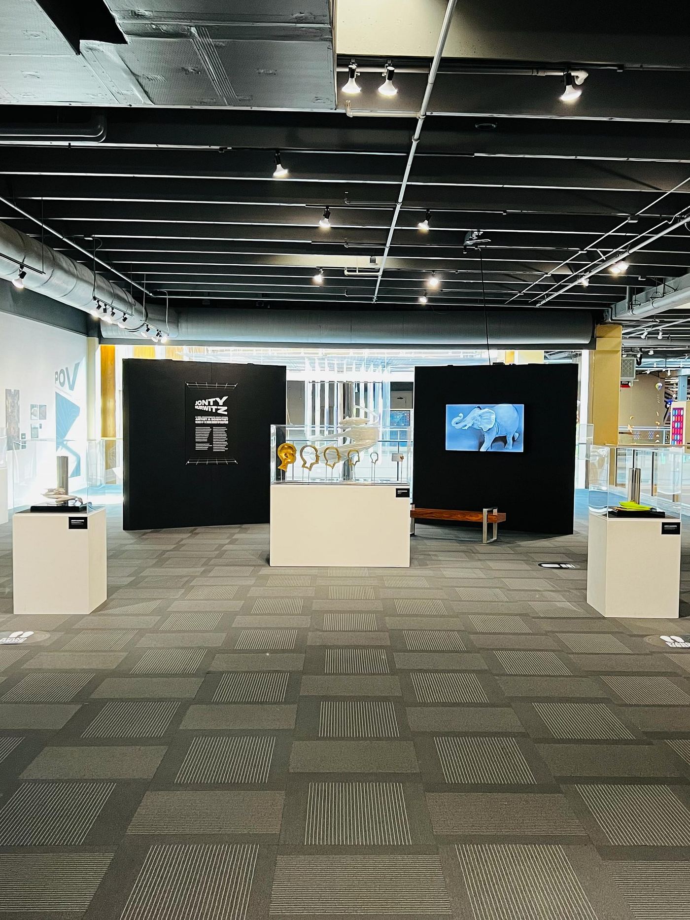 Visitors interacting with the exhibition — photograph 36