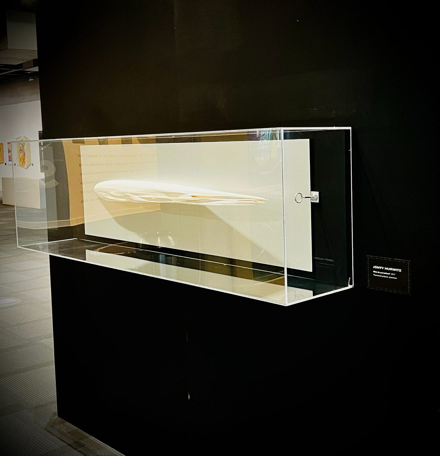 Visitors interacting with the exhibition — photograph 38